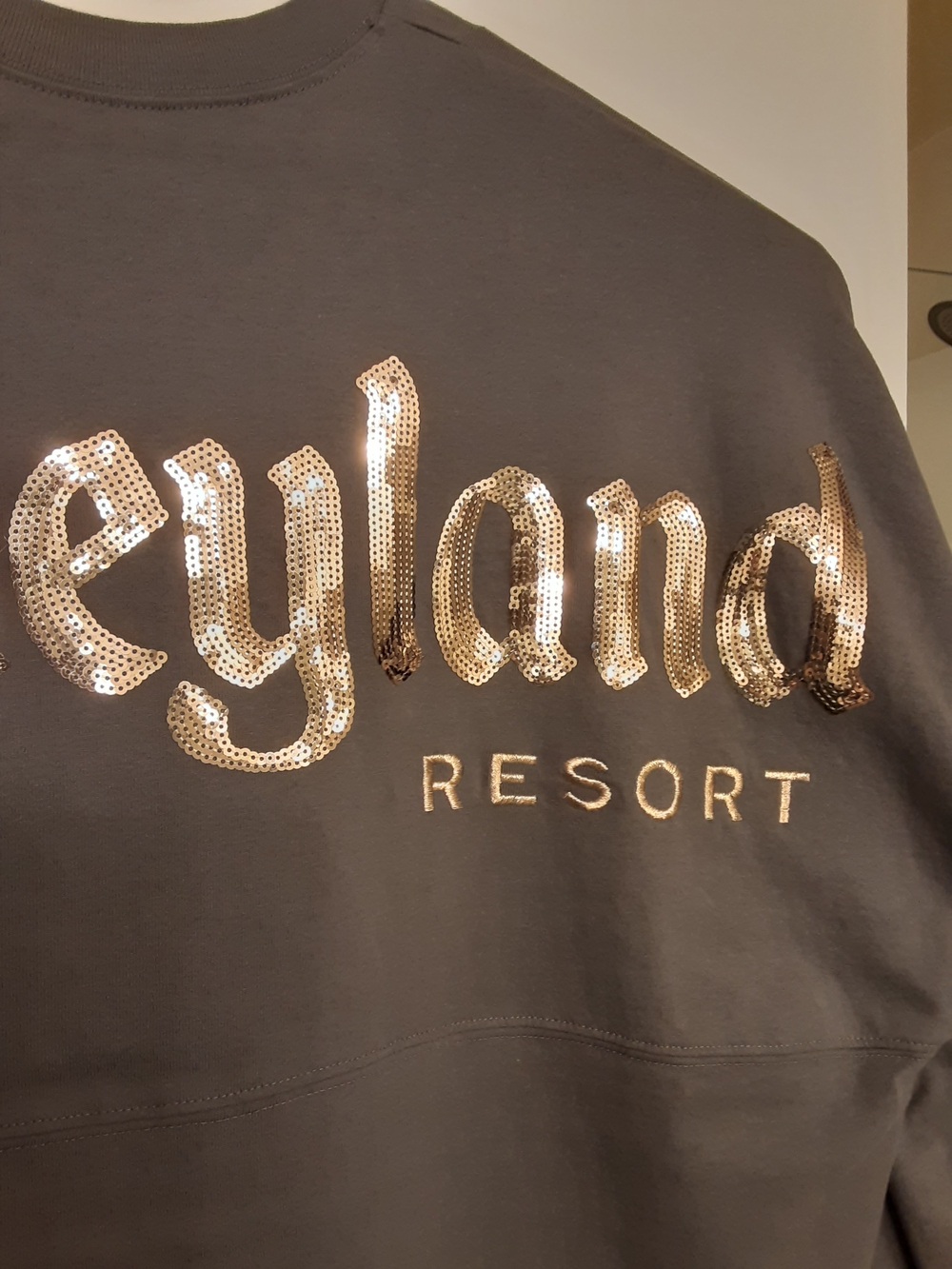 Disney Disneyland Resort Gray Spirit Jersey with Rose Gold Sequin Logo - Picture 3 of 5